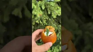 Печеные яблоки от Русича 🍎🔥