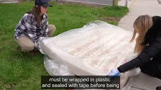 Bulk Waste Collection - Bedbugs