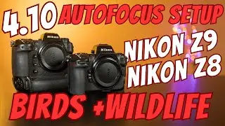 Nikon Z8 and Z9 - 4.10 Autofocus Setup and Button Layout for Bird and Wildlife Photography