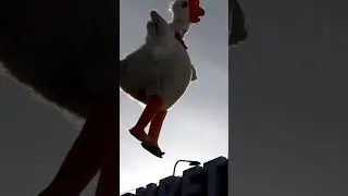 Промахнулся и улетел🕊️😂