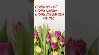 Весна пришла