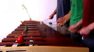 Zelda Twilight Princess - Hyrule Field on Marimba