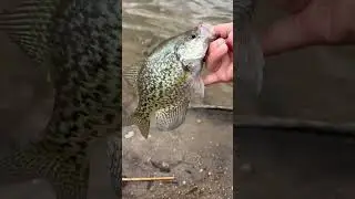 Fishing with worms #fishing #shorts