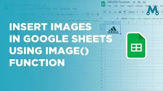 Insert Images Dynamically in Google Sheets Using IMAGE() function