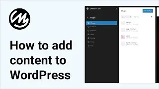 How to add content to WordPress