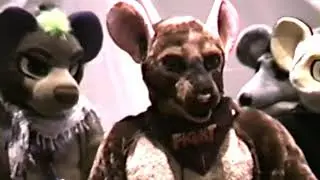 MFF 2019