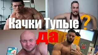 Качки Тупые? ДА (это не стереотип) \ Почему Фитнес Блогеры Идиоты