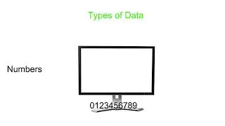 Types of Data