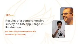 Results of a comprehensive survey on UI5 app usage in production