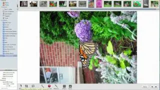 How to upload photos from iPhoto to your Mac