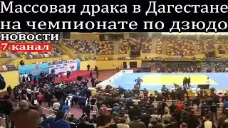 Массовая драка в Дагестане на чемпионате по дзюдо.