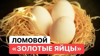 ЛОМОВОЙ - Золотые яйцы
