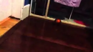 Cousin and Sister caught on tape