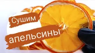 Сушим апельсины в дегидраторе.