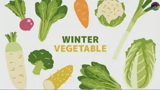 WINTER VEGETABLES | Vegetables Name In English | Creation For Kids