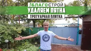 Удаляем пятна на тротуарной плитке. Высолы на тротуарной плитке.