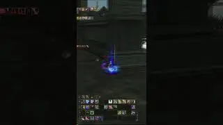 ПП за 7 млн рублей в Lineage 2 на руоффе. Персонаж - мечта, который многим не по зубам.