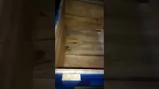 Projeto de abelha da cupiras 06/2020