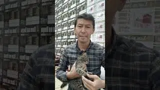 УЗИМНИ УРТОГИМ#shorts