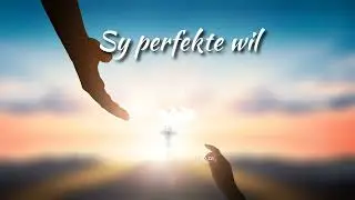 Sy perfekte wil