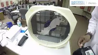 Dynamic Stress Analysis (Stroboscopic Effect)