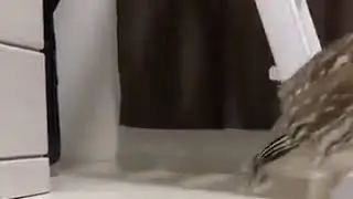 Сава   кродёться