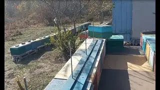 Крайние работы на пасеке перед зимовкой пчел