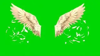 green screen sayap malaikat langsung pasang