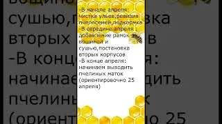 План работ на апрель