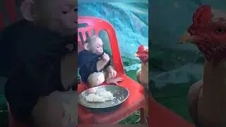 funny video, comedy, scenes, videos,