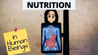 Heterotrophic Nutrition | Life Processes | Class 10 | Science