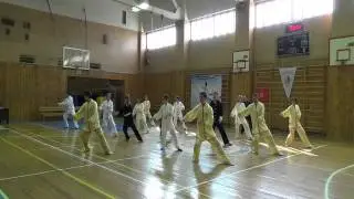 1st Set of Dongyue Taijiquan 2014 TaijiDay Novosibirsk