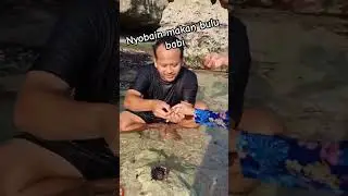 ternyata bulu babi itu enak dimakan lsg,tp jangan kebanyakan bikin enek