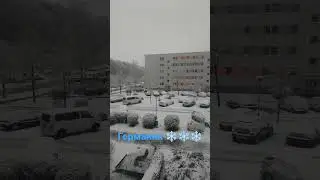 ВЕСНА! ГЕРМАНИЮ ЗАСЫПАЕТ СНЕГОМ! Немцы в шоке!