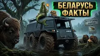 70 Facts About Belarus: Beavers, Bogs, Bison and Hidden Wonders