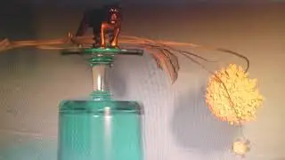 Beirut - Corfu (OFFICIAL VIDEO)