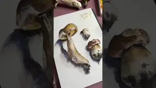 Грибы с натуры акварелью 