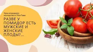 Разве у помидор есть мужские и женские плоды? Ничего себе...