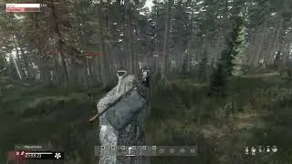 Нежданчик  (DayZ)