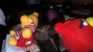 Ещё заброшки;}