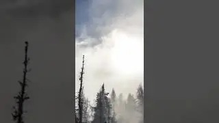 Жанна Дарк
