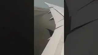 Landing at Doha. Qatari611 Boeing 787