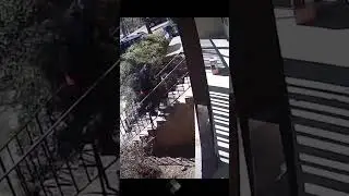 Most hilarious Thing Caught on Doorbell Camera 😳 #shorts