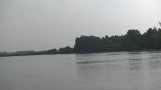 река Чулым  август 2019  4
