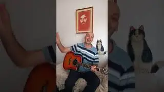 Magico magicone - Orson Gatt