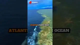 Quran In Real Life