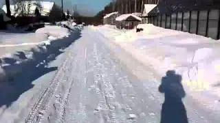 прогулка по саду