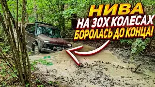 УТОПИЛИ НИВУ в глубокой ГРЯЗИ!
