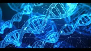 Nucleic acid structure
