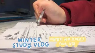 Productive Winter Break Study VLOG of a Korean Student 🇰🇷 | Studying with a SNU Teacher